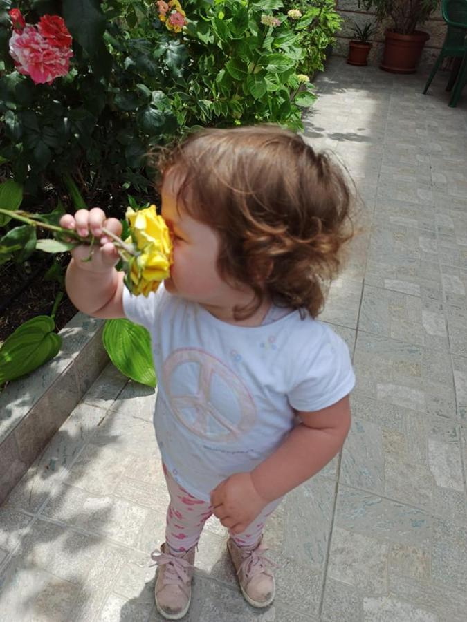 Guest House ,, Ekaterina" Nesebar Exterior foto
